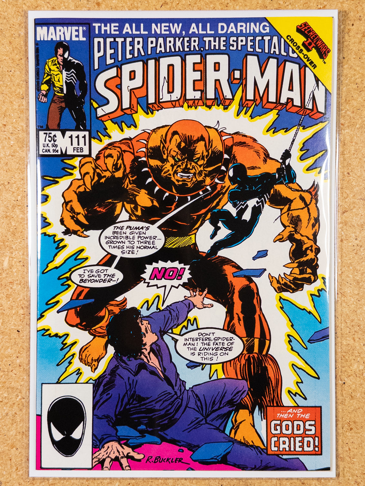 Spectacular Spider-Man #111