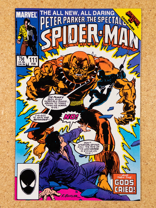 Spectacular Spider-Man #111