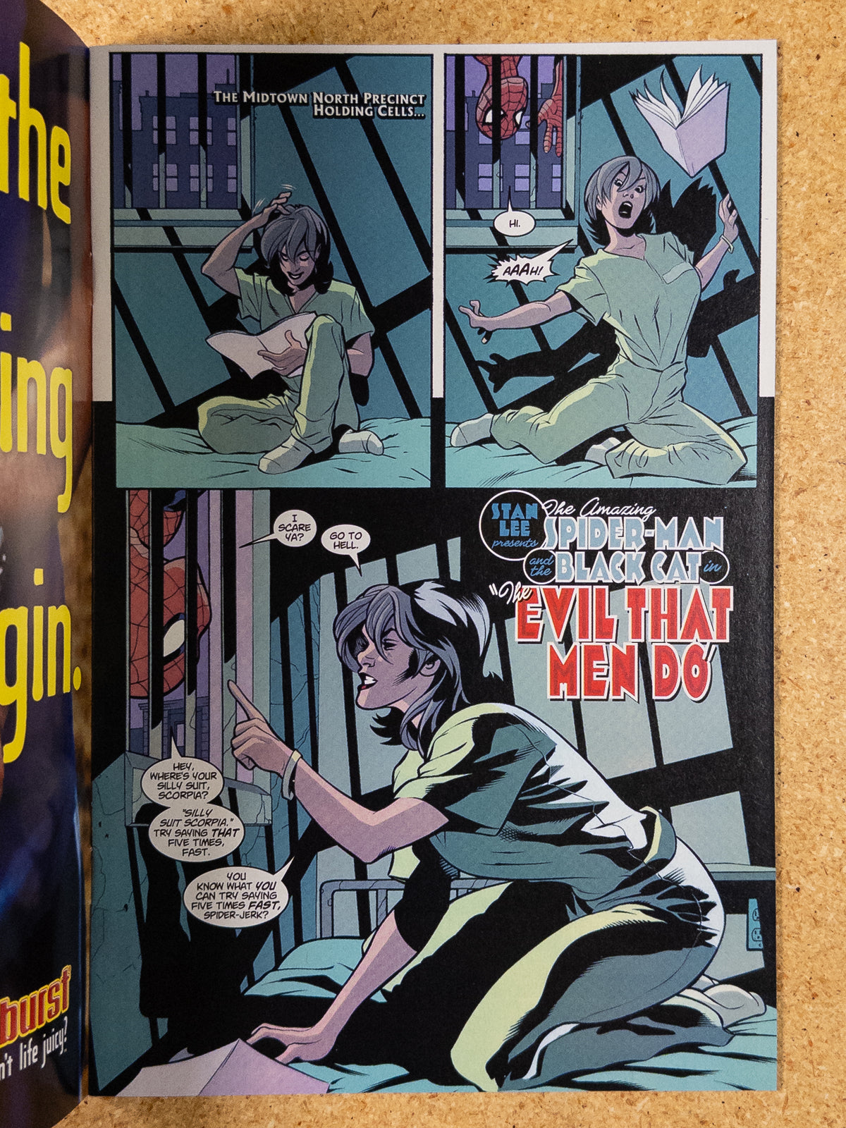 Spider-Man & The Black Cat #3